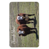 Magnet Flexible Masculine Merci de vache (Vertical)