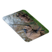 Magnet Flexible Maternité chez les rhinocéros (Côté Droit)