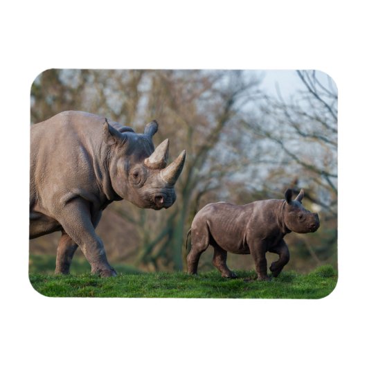 Magnet Flexible Maternité chez les rhinocéros (Horizontal)