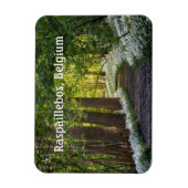 Magnet Flexible Matin du printemps à Raspaillebos, Belgique (Vertical)