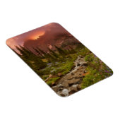 Magnet Flexible Meadows (Côté Droit)