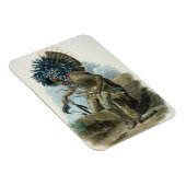 Magnet Flexible Médecin de la tribu Mandan en costume de (Côté Droit)