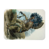 Magnet Flexible Médecin de la tribu Mandan en costume de (Horizontal)