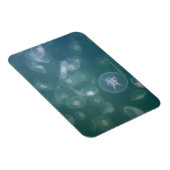 Magnet Flexible Méduse de lune (Côté Droit)