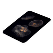 Magnet Flexible Méduse lunaire nageant (Côté Gauche)