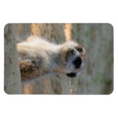 Magnet Flexible Meerkat 004 (Horizontal)