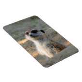 Magnet Flexible Meerkat 004 (Côté Droit)