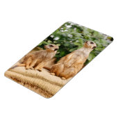 Magnet Flexible Meerkat 009 (Côté Gauche)
