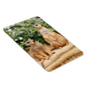 Magnet Flexible Meerkat 009 (Côté Droit)