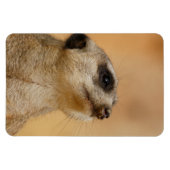 Magnet Flexible Meerkat 011 (Horizontal)
