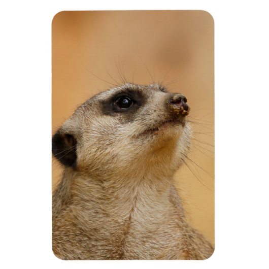 Magnet Flexible Meerkat 011 (Vertical)