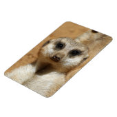 Magnet Flexible Meerkat 016 (Côté Gauche)