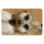 Magnet Flexible Meerkat 016 (Horizontal)