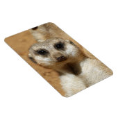 Magnet Flexible Meerkat 016 (Côté Droit)