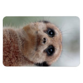 Magnet Flexible Meerkat 020 (Horizontal)