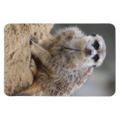 Magnet Flexible Meerkat 021 (Horizontal)