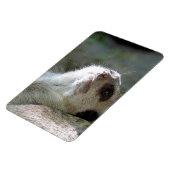 Magnet Flexible Meerkat 024 (Côté Gauche)