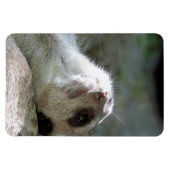 Magnet Flexible Meerkat 024 (Horizontal)