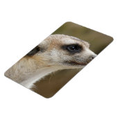 Magnet Flexible Meerkat 028 (Côté Gauche)