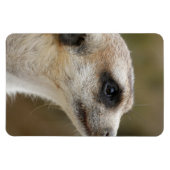 Magnet Flexible Meerkat 028 (Horizontal)