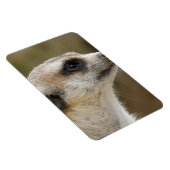 Magnet Flexible Meerkat 028 (Côté Droit)