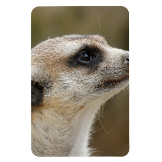 Magnet Flexible Meerkat 028 (Vertical)