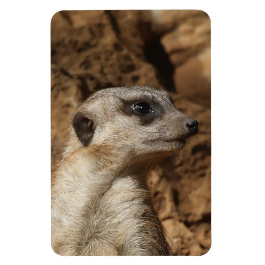Magnet Flexible Meerkat 029 (Vertical)