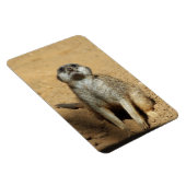 Magnet Flexible Meerkat 031 (Côté Droit)