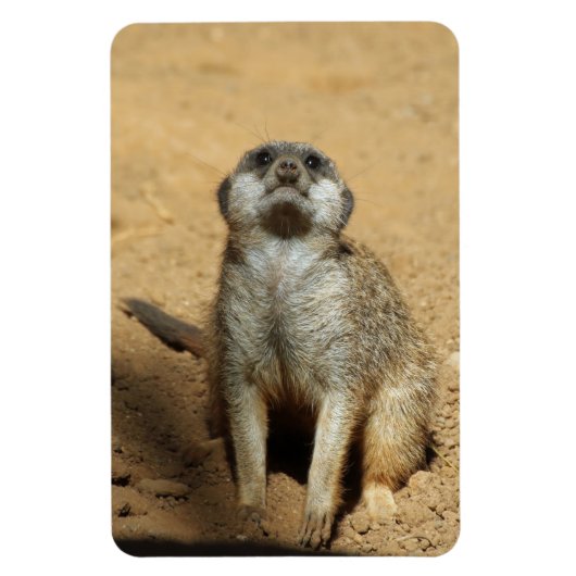 Magnet Flexible Meerkat 031 (Vertical)