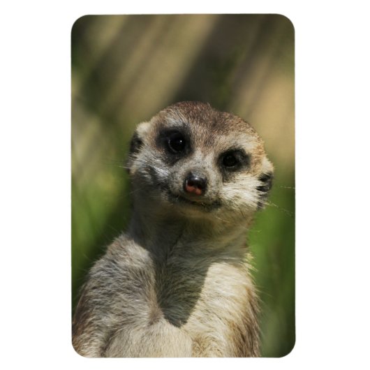 Magnet Flexible Meerkat 034 (Vertical)