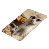 Magnet Flexible Meerkat 042 (Côté Gauche)