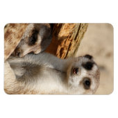 Magnet Flexible Meerkat 042 (Horizontal)
