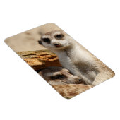 Magnet Flexible Meerkat 042 (Côté Droit)