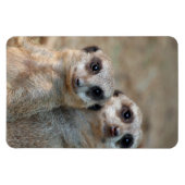 Magnet Flexible Meerkat 047 (Horizontal)