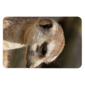 Magnet Flexible Meerkat 048 (Horizontal)