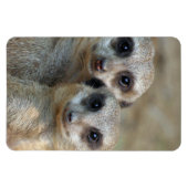 Magnet Flexible Meerkat 085 (Horizontal)