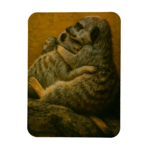 Magnet Flexible Meerkat Embrace - Imprimerie d'art faunique