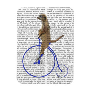 Magnet Flexible Meerkat Sur Blue Penny Farthing