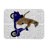Magnet Flexible Meerkat sur Dark Blue Moped (Horizontal)