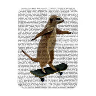Magnet Flexible Meerkat sur la planche à roulettes 2