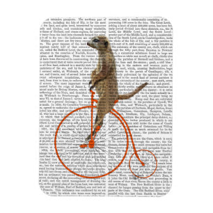 Magnet Flexible Meerkat sur le quart de penny orange de penny