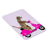 Magnet Flexible Meerkat sur Pink Moped 2 (Côté Droit)
