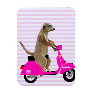 Magnet Flexible Meerkat sur Pink Moped 2