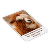 Magnet Flexible Meilleur Sourcil Unique d'Alpaca (Côté Droit)