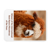 Magnet Flexible Meilleur Sourcil Unique d'Alpaca (Horizontal)