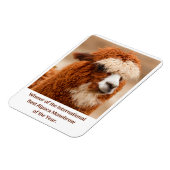 Magnet Flexible Meilleur Sourcil Unique d'Alpaca (Côté Gauche)