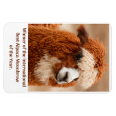 Magnet Flexible Meilleur Sourcil Unique d'Alpaca (Horizontal)