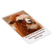 Magnet Flexible Meilleur Sourcil Unique d'Alpaca (Côté Droit)