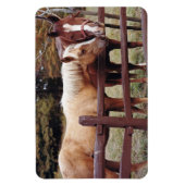 Magnet Flexible Meilleurs amis (Vertical)