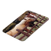 Magnet Flexible Meilleurs amis (Côté Gauche)